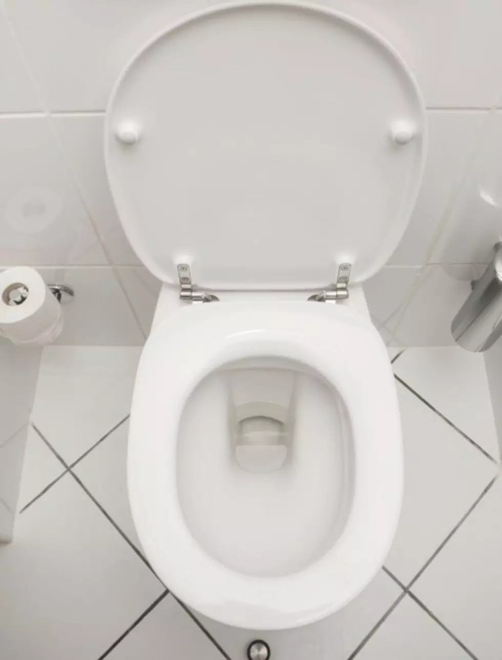 Video Of a Toilet Being Used to Blend and Serve Party Punch Goes Viral
