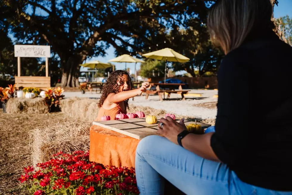 Fall Festivities Arrive in Lafayette with Parc de Oaks’ Pumpkin Patch