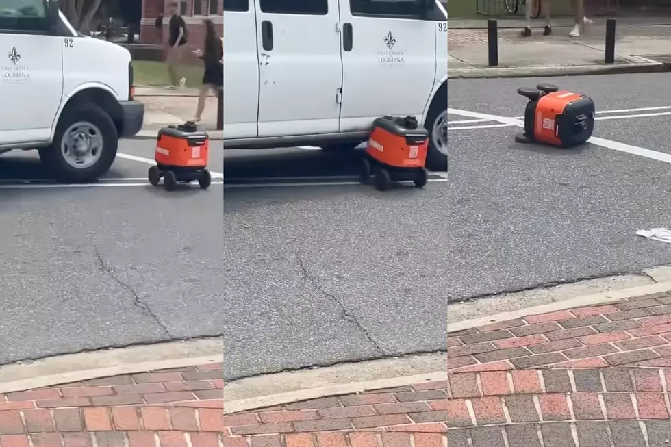 Grubhub Robot Collides With UL Lafayette Van in Viral TikTok